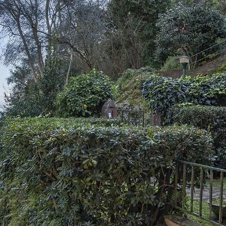 Apartment Charming Near Portofino By Wonderful Italy